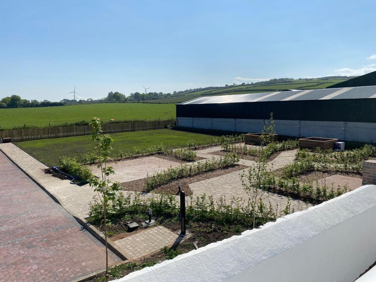 Ballymullock Barn Lofts Carncastle ภายนอก รูปภาพ